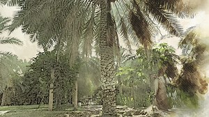 13 reactions | Where is the largest and oldest oasis in the world? Find the answer in our multimedia Deep Dive on Saudi Arabia’s UNESCO World Heritage Sites: www.arabnews.com/UNESCO | Arab News | Facebook