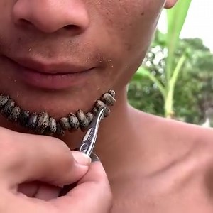 #Ticks | Luke Herrera