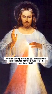 The words that I have spoken to you are spirit and life. (John 6:63 ) | My Mother Mary