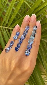 21 reactions | Blue sapphire comes in many different combinations of hue, tone, and saturation, ranging from a classic deep “royal” blue to a velvety violetish blue, called “cornflower” in the trade. This handful of sapphires showcases the range of blue sapphire colours. Which hue is your favourite?! Copyright and Courtesy: Phoebe Shang | GIA India | Facebook