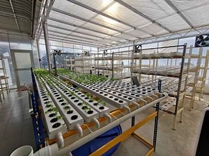 [Hot Item] Commercial Nft PVC Pipe Indoor Hydroponic Farming System for Vegetables