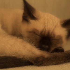 දැන් Hutch 100% Anytime Data තියෙන නිසා නින්ද කඩාගෙන රෑ වෙනකල් ඇහැරිලා ඉන්නේ නැතුව ලස්සන හීන දැක දැක, ගොරව ගොරවා, සැපට නිදා ගන්න. රු.47 කට දින 5ක් සඳහා MB 600ක්! රු.97 කට දින 10ක් සඳහා 1.3 GB! ඒ විතරක් නෙමෙයි රු.197 කට දින 21ක් සඳහා GB 3ක්ම ලැබෙනවා. *131# Dial කර හෝ Anytime Data Cards මිල දී ගෙන හෝ Hutch App එක මඟින් හෝ Activate කර ගන්න. වැඩි විස්තර සදහා link එක click කරන්න> https://buff.ly/2JvNKYq | Hutch Sri Lanka