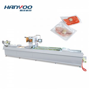 [Hot Item] Hanyoo Dps-320 Fully Automatic Food Blister Vacuum Forming Thermoforming Shrink Packaging Machine