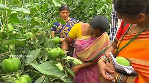 25K views · 187 reactions | ಹತ್ತು ಎಕರೆ ಜಾಗದಲ್ಲಿ ಸಾವಯವ ಕೃಷಿ ಬಳಸಿ ಸಮಗ್ರ ಕೃಷಿ ವಾರ್ಷಿಕ ಕೋಟಿ ಆದಾಯ | Kannada Naadu - ಕನ್ನಡ ನಾಡು | Facebook