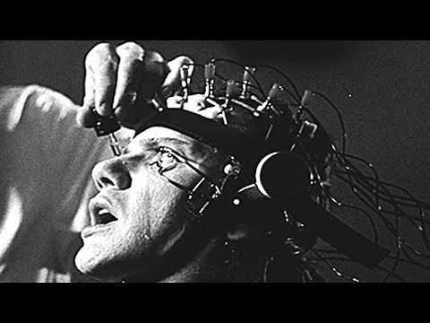 5 verbotene Experimente, die zu weit gingen