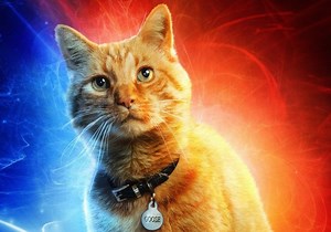 Avengers: Endgame Might Feature Captain Marvel's Goose The Cat In Pivotal Role