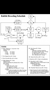 RABBIT BREEDING CALENDAR FOR YEAR‑ROUND PRODUCTION A clear, simple plan keeps your does healthy, your bucks efficient, and your litters consistent all year. Rabbits mature fast, have short gestation, and can produce regularly with good scheduling, environment, and records. --- Core timelines and cycle basics ☐ 1. Gestation length: Most does kindle about 31 days after mating; plan nest box placement at day 28–29 and expect kits around day 30–32. ☐ 2. Weaning window: Wean at 6–8 weeks for robust g