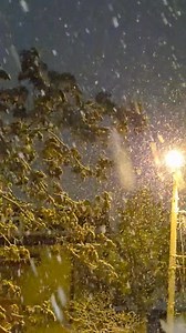 Initial am vrut sa ma duc direct la somn. Zi lunga. Oboseala. Ganduri multe. Agenda plina si maine. Dar m-am uitat din nou pe geam. Si n-am mai putut. Cum sa te culci cand afara ninge asa? Cum sa tragi draperia peste un asemenea spectacol si sa spui „las’ ca maine”? Sunt momente care nu suporta amanare. Care nu pot fi puse pe snooze. Am iesit. Din nou. Ca si datile trecute. Aerul rece mi-a atins fata si, pentru cateva secunde, tot zgomotul din cap s-a oprit. Fulgii cadeau incet, aproape solemn.