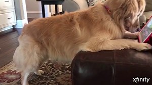 Stop binge-watching in its tracks. #hacksoflife | Xfinity