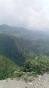 2.3K views · 35 reactions | Swat Television on Reels | Facebook