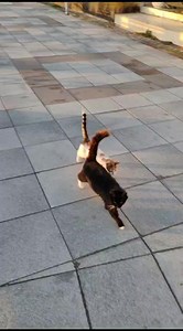 Cand e frate langa frate! 😁😁😁 | Litoralul Online