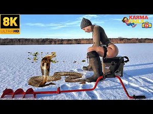 Try Not To Laugh 🤣 Top 100 Funniest Videos Ever 😂 | Funny Videos Compilation 2026 #225