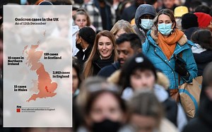 Map shows where Omicron has been identified in UK amid surge in cases in areas including London