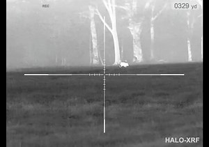 21 reactions | From downtown!! 300 yards out with the @nvisionoptics Halo-XRF  •  @boardapatrol • #NightVisionGuys #NVG #Nods #Thermal #HaloXRF #NVisionOptics #Badass #ForYouPage #ForYou #FYP #Explore #ExplorePage #HogHunting #DirtNap #Airsoft #AirsoftNation | Night Vision Guys | Facebook