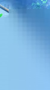 8.2K views · 508 reactions | Two proud dads! 囹 Our flamingo chick...