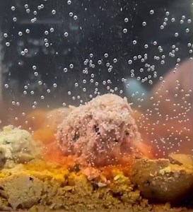 Check out our range of Soluble baits, already a big favourite with anglers across Europe. A perfect edge on pressured waters where carp have seen everything. Simply top up your spots every couple of hours to give the ultimate feeding triggers. http://nutrabaits.net/CATEGORY-SOL | Nutrabaits