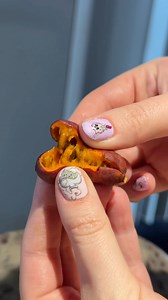 Today I drove two hours both ways to try one of my dream fruits- the fingersop 😍 These are in the annona family and have that special sweet flavor with a creamy texture like what you would expect with annona fruits. The fingersops have the most beautiful orange color naturally and to me the seeds look like little turtle shells! They are around the same size as a finger lime! #reels | Soozie the Foodie