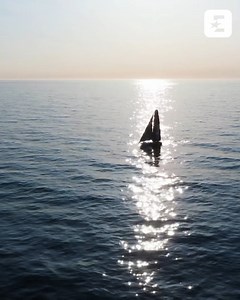 5.1K views · 297 reactions | A challenging leg, with light breezes, exclusion zones, close encounters, and a Grand Finale in Genova  Watch the highlights of Leg 7 tonight at 1930 CET on Eurosport 1 (Eurosport 2 in The Netherlands and Belgium)  #TheOceanRace | The Ocean Race | Facebook