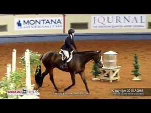 A Judges Perspective: 2015 World Show Amateur Equitation Over Fences World Champion