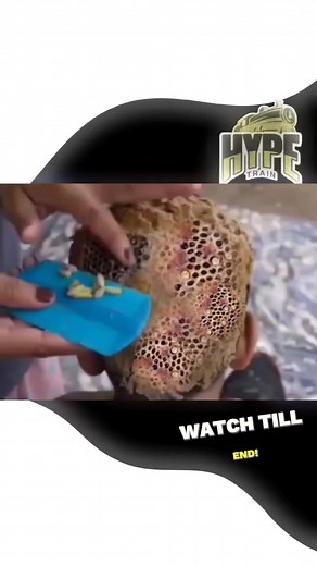 What is Trypophobia | Understanding The Fear of Holes #trypophobia #trypo #fypシ #clusterphobia #holephobia