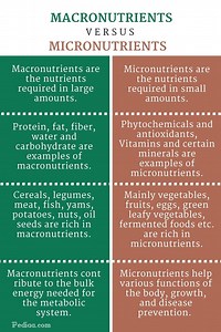 What is the difference between micro and micronutrients? [2025] | QAQooking.wiki