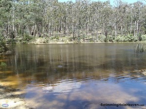 Swimming Hole Heaven - Shaws Lake, Blackwood