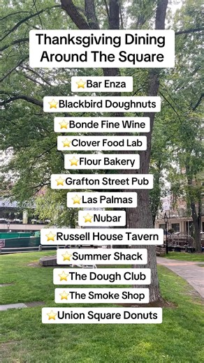 25 reactions | From side dishes to desserts, these Harvard Square staples have got you covered this Thanksgiving. Whether you're celebrating at home or elsewhere, you'll have even more to be gratfeul for while enjoying a meal from one of our many delicious restaurants and bakeries! #thanksgivingdinner #thanksgiving2023 #thanksgivinginthesquare | Harvard Square | Facebook