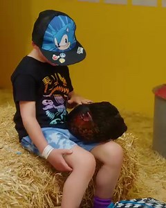 See, learn, touch and CUDDLE! 🥰 The Show is the perfect place to meet all kinds of animals that you don't often find in the city. Plus we've thrown in a cute pooch or two! Pre-Purchase your tickets & save at theshow.com.au or Foodland! | Royal Adelaide Show
