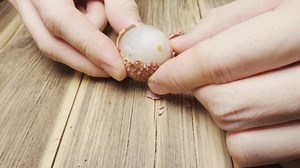 「ライチの実、鋭い皮、パルプ、骨の接写。」の動画素材（ロイヤリティフリー）1066521580 | Shutterstock