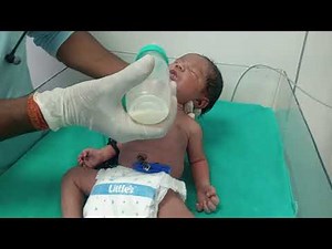 Newborn's Hungry Cry to Happy Fullness: Our Emotional First Bottle Feeding Journey (Full Tutorial)