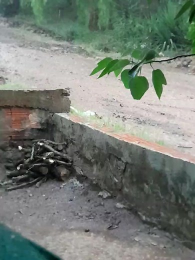 VECINOS DE CONTINUACIÓN ARAPEY DE PINTADITO SOLICITAN EL ARREGLO DE LA CALLE, INTRANSITABLE DÍA DE LLUVIAS | Artigas Informa