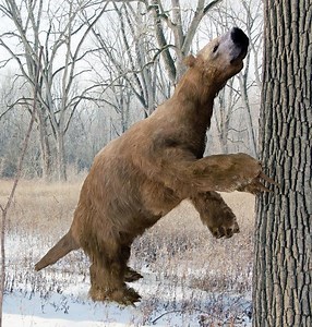 Ground sloth - Alchetron, The Free Social Encyclopedia