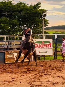 Bom dia Cowboys & Cowgirls! #amorodeio | Amo Rodeio