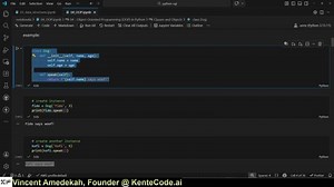 Lec 4 | Object Oriented Programing in Python | Python and SQL Foundations | Vincent Amedekah