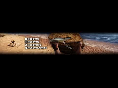 PLAYING ON BURNTPEANUT SERVER