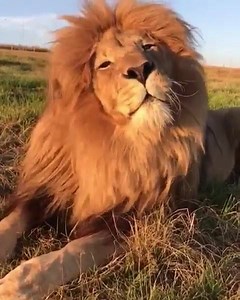 10K views · 391 reactions | 珞 | LespagesdeJade | Facebook