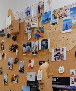 [Hot Item] Cork Board, Cork Sheet, Cork Veneer, Cork Building Materials