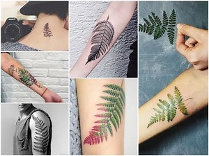 Top-30 Most Beautiful Fern Leaf Tattoo Design Ideas