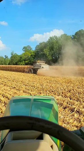 Gleaner Combine Harvesting Corn #reels #corn #terrellspivey #cornharvest #farmlife #farming #gleaner #combine #gleanercombine #2023cornharvest #cornharvest #viral #viralreels #fbreels | Terrell Spivey