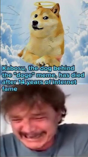 Rip Doge #doge #meme #death #memes