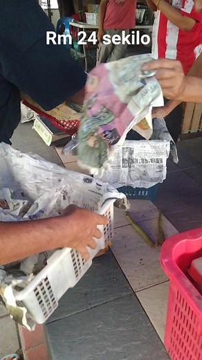 11K views · 108 reactions | Buah dabai sarikei rm 24 sekilo #sarikei #triminalexpress1 #buahbuahansarikei | PJS Pencari Jejak Semesta | Facebook