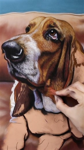 Sharing a little Bassett hound portrait. Full tutorial for this one on my Patreon along with dozens of other projects to get stuck into. If it’s pets you want to paint you’ll definitely find lots of helpful tutorials on that! My absolute favourite thing to paint! #softpastel #realism #bassetthound #petportrait #artistonyoutube #artistonpatreon | Emma Colbert Art