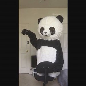 1.5K views · 37 reactions | Taylor was having fun with our new Panda suit! Can't wait to use it this summer =) Tag someone that could use a laugh! | GymKix | Facebook