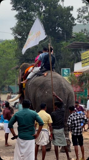 Kayamkulam sarath X keezhoot viswanathan x Achu🔥🔥🔥 #kezhootviswanathan #keezhootvishvanathan #keezhootviswanathan🐘 #instagram #reels #elephant #aana #elephants #pooram #aanakeralam #elephant🐘 #kerala | Arun Sabu Thayyil