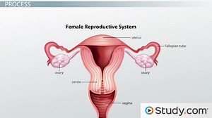 You must c C reate an account to continue watching