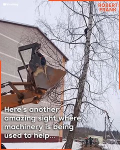 A pig fell in a hole was found by a construction team, expertly saved by their excavator rider! 😮❤👏🏻 | Robertfrank615