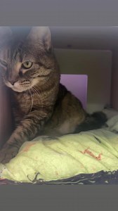 20K views · 749 reactions | Remember the 5 abandoned seniors that you...