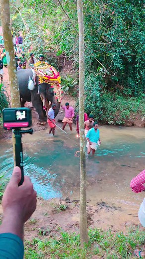 1K views | Elephant  crossing River #alappancode #festival | South Tube | Facebook