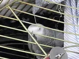 Are You Talking To Me?