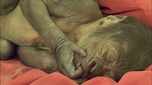 1.7K views · 4.4K reactions | All of your friends will want to see...